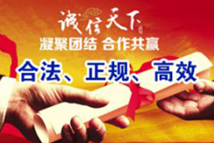 一年内法院对欠款者拘留频次分析